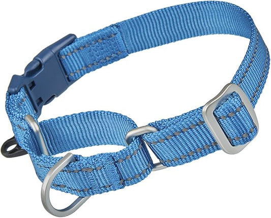 Martingale Collar Reflective Nylon Collar with Safety Quick Release Buckle,Escape-Proof Anti-Pull for Small Medium and Heavy Duty Dogs(Blue,XS)