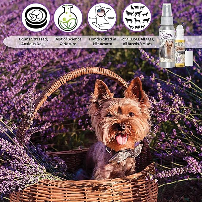 The Blissful Dog Yorkshire Terrier Relax Dog Aromatherapy Spray for Your Dog's Anxiety