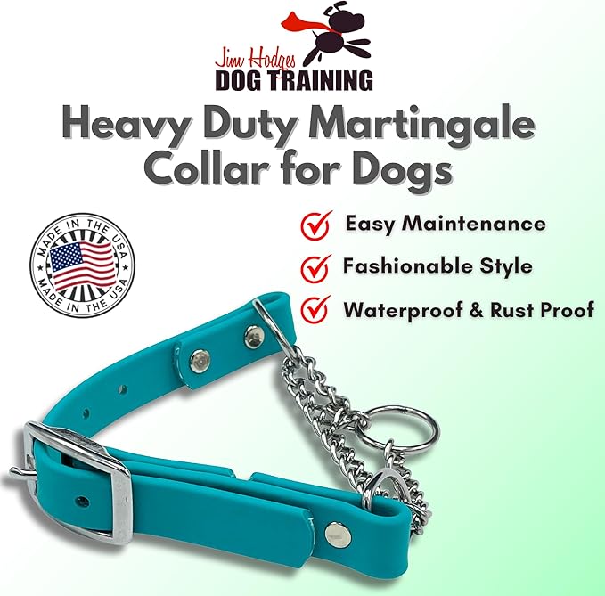Martingale Collar for Dogs, Biothane, Stainless Steel Hardware, No Pull, Made in The USA, Professional Grade, Large, Teal