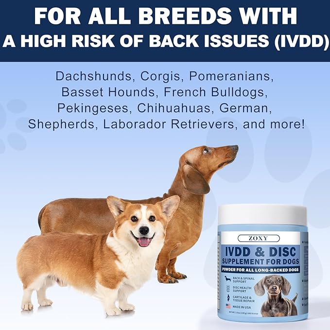 Disc Supplement for Dogs – Back & Spine Support with Chondroitin and MSM, IVDD Dog Supplies, Paralyzed Dog Supplies, Ideal for Dachshunds, Corgis, Frenchies & More, 3.5 oz