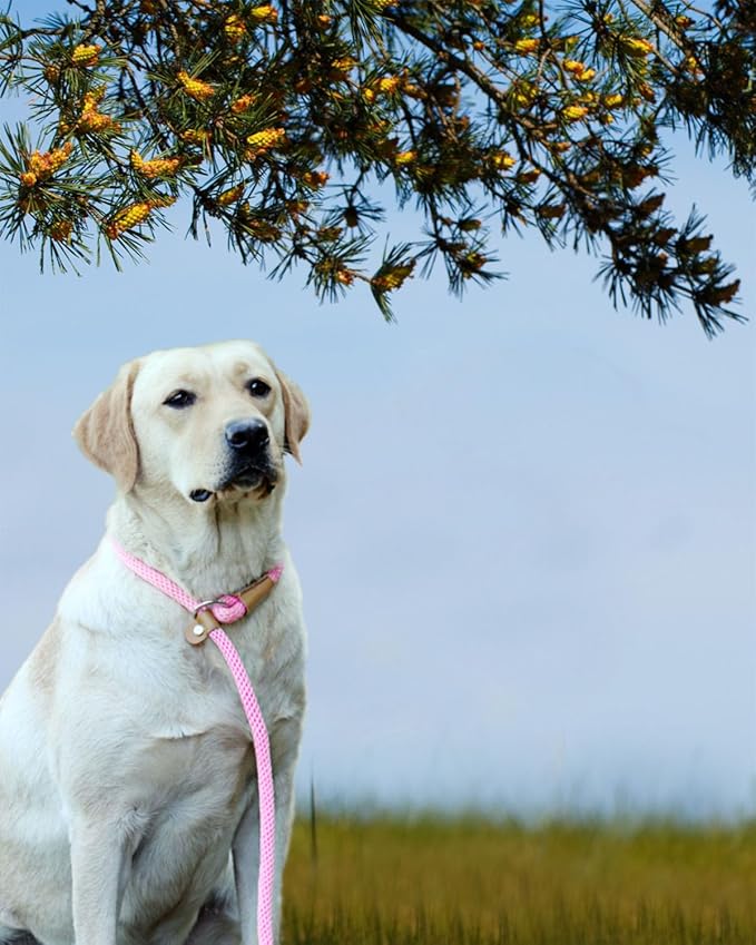 lynxking Dog Leash Slip Lead 5 6 8 FT Dog Training Leash Strong Heavy Duty Braided No Pull Training Lead Leashes for Large Dogs