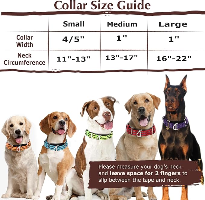 Martingale Collar for Dogs, Reflective Nylon No Pull Choke Collar with Padded Comfort, Metal D-Ring & No Buckle for Training, Walking & Overexcited Pulling Control-Orange M