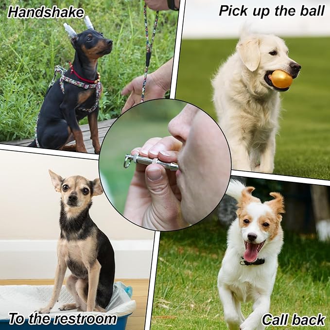 2 Pack Dog Whistle Professional Recall Dog Training Whistles Adjustable Frequency Silent Training Ultrasonic Dogs Whistle Stop Barking Neighbors Dogs with Lanyard (Black)
