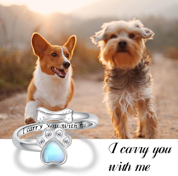 Sterling Silver Urn Ring for Dog Ashes: 925 Paw Print Memorial Dog Urn Rings Cremation Jewelry Keepsake Remembrance Gifts for Women Pet Lovers