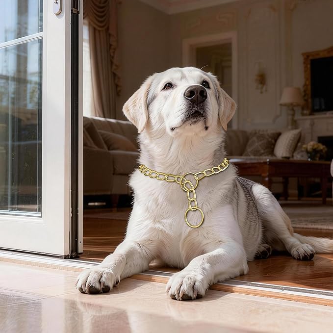 Chain Choke Collar for Dogs, Metal Choke Link Dog Collar Choker Training Heavy Duty Slip Martingale Puppy Collars for XS Small Medium Large Big XL Breed Dogs (Gold, L(Neck Max 20inch) D3.5mm)