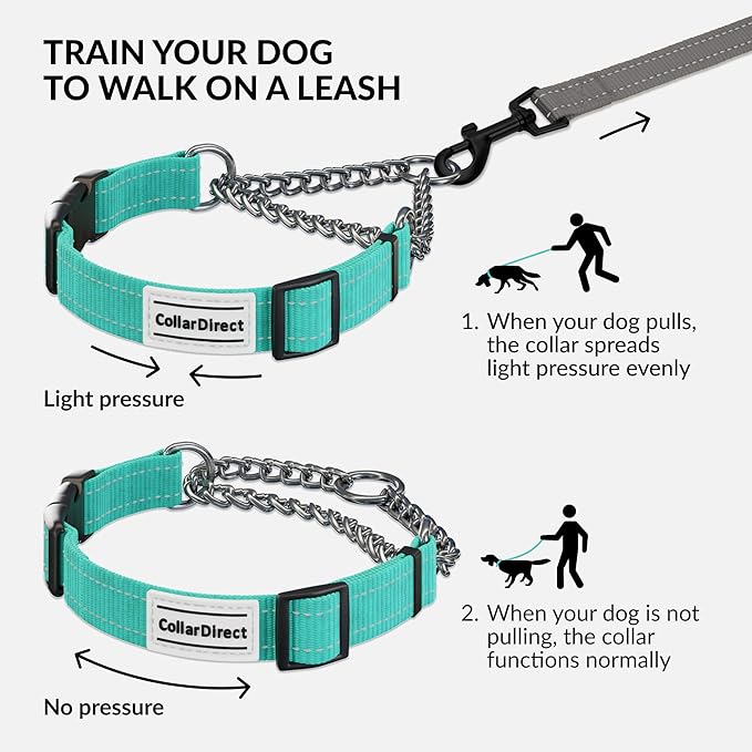 CollarDirect Martingale Dog Collar with Stainless Steel Chain and Quick Release Buckle - Reflective Collar for Large, Medium, Small Dogs - Mint Green, Large (Neck Size 17"-22")