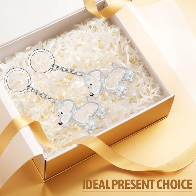TOYANDONA Pet Hair Keepsake Keychain Diy Fur Collector Memorial Gift for Dog Cat Lovers Portable 1.65 Inch Pet Hair Pendant