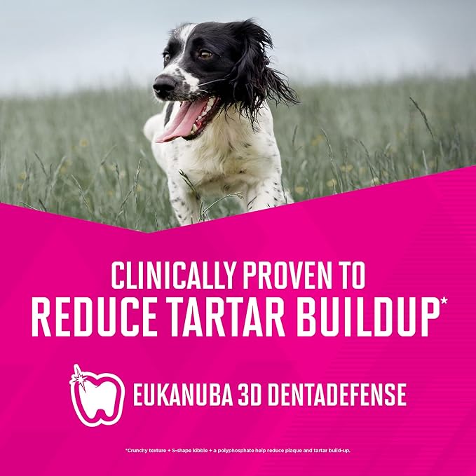 Eukanuba Adult Small Breed Dry Dog Food, 15 lb Bag