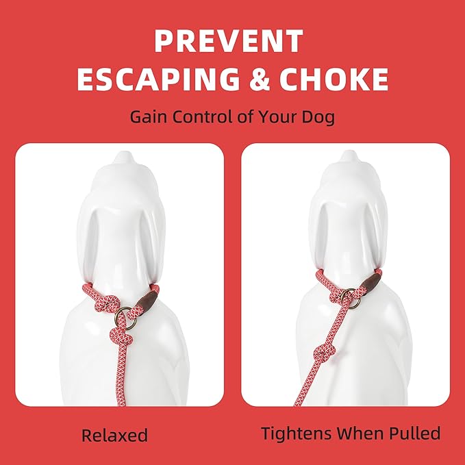 Mile High Life Slip Leads for Dogs | Reflective Slip Leash with Leather Tip | Heavy Duty Dog Training Leash - 4 Feet Climbing Rope (Red)