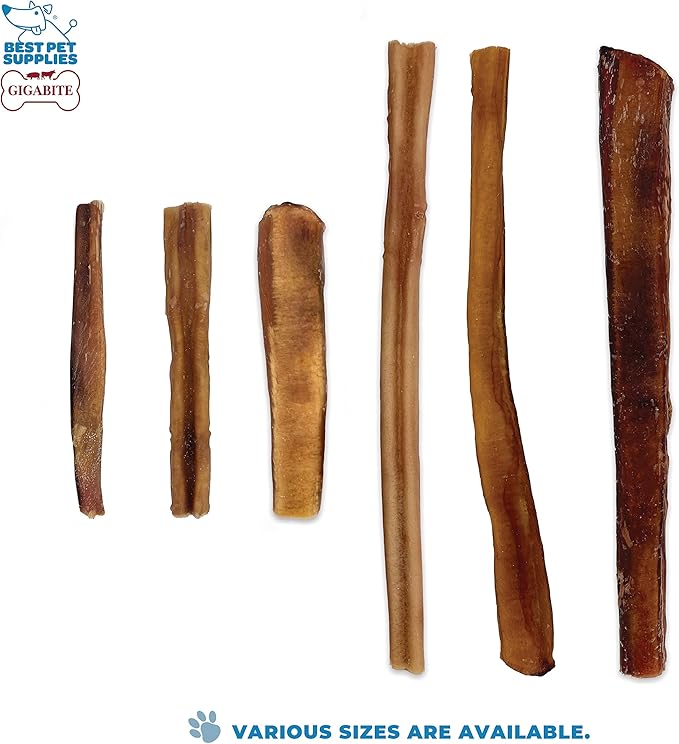 GigaBite Bully Sticks for Dogs All Natural Beef Pizzle Dog Chews, Odor & Rawhide Free Dog Treats, Long Lasting High Protein Chews Digestible Dental Dog Treat - Sticks (Monstrous 6"), Pack of 8