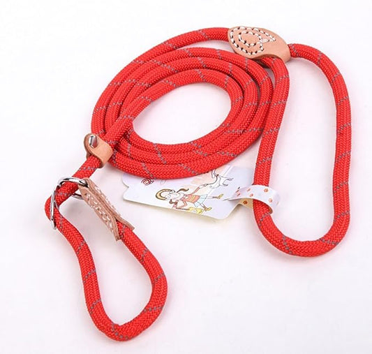 Coolrunner Durable Dog Slip Rope, 5 FT Training Leash, Strong Adjustable Pet Slipknot Nylon Leash for Small Medium Dogs (10-80 lb) (Red 2)