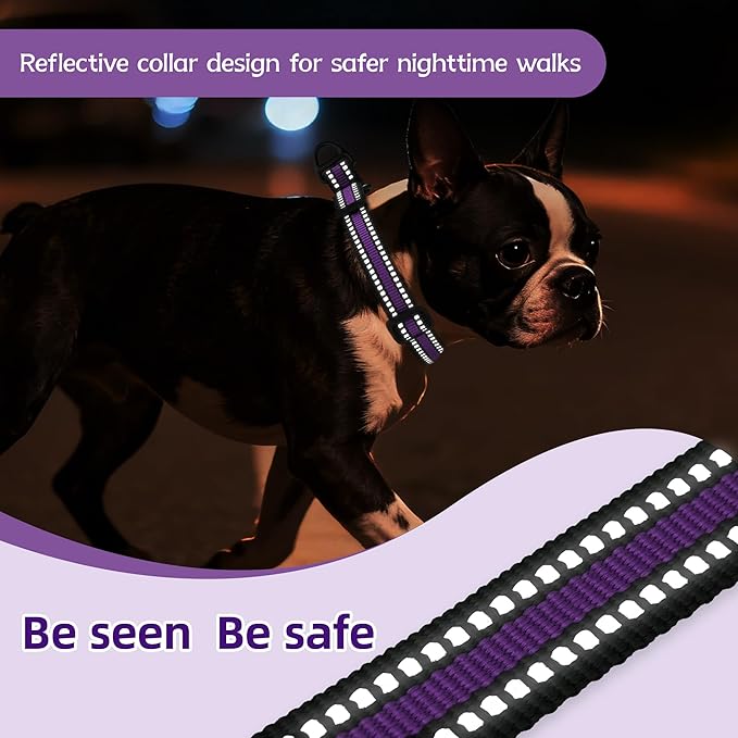 Martingale Collar for Dogs Reflective Collar with Quick Release Buckle, Adjustable Nylon Collars for No Slip Dog Collar, Purple, S