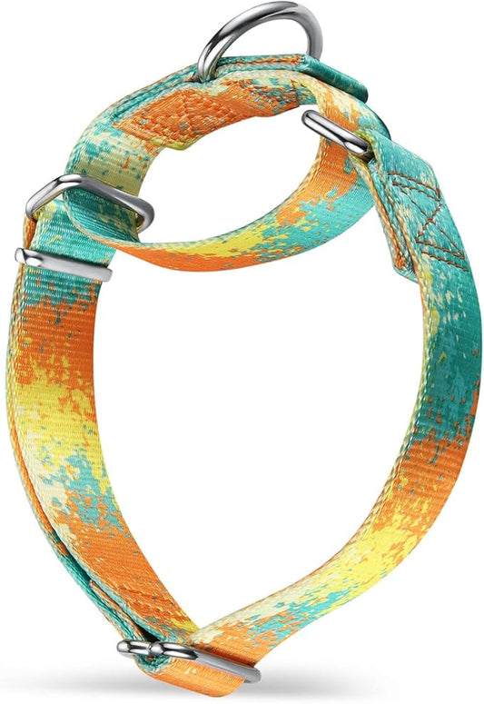 Martingale Collar for Dogs Escape-Proof No-Pull, Durable Polyester Training Collar for Dogs, No-Buckle (Deserts and Oases, Large)