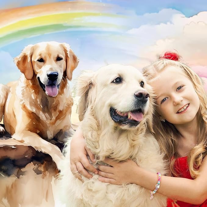 Dog Memorial Gifts: Rainbow Bridge Pet Memorial Bracelet for Men Women, Loss of Dog Sympathy Gift, Colorful Silicone Wristband, 6 to 10 inches