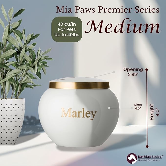 Mia Paws Premier Series Pet Urn for Dogs with Personalized Laser Engraving (Medium - Pets up to 35 lbs, Cloud White, Double Brass Paws)