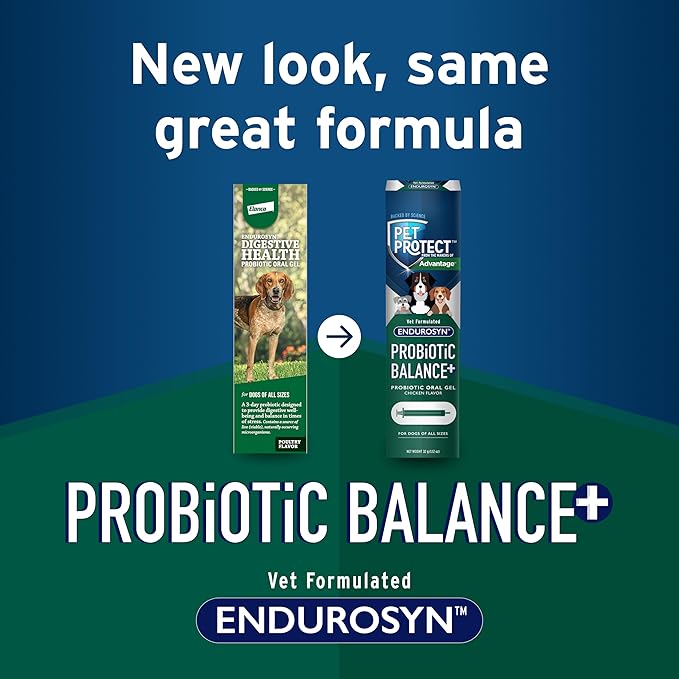 Pet Protect Dog Probiotic Balance+ Oral Gel, Vet-Formulated Endurosyn, Prebiotics & Probiotics for Dogs, 3-Day Supply, Chicken Flavor (32g)