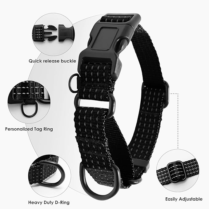 Martingale Collar for Dogs, Adjustable Soft Nylon Dog Collars with Special Design Cute Patterns (Black, M (1" x 15.5"-19.5"))