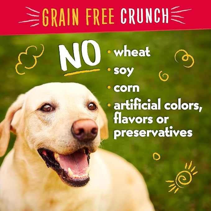 Charlee Bear Dog Training Treats for Small, Medium & Large Breeds, Crunchy Low Calorie Grain Free Dog Treats, USA Made, Chicken, Pumpkin & Apple, 6 Pack, 8oz Each