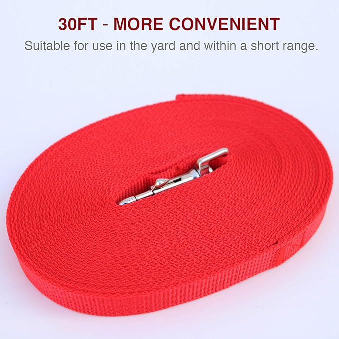 Dog Leash Puppy Obedience Recall Training Agility Lead 30ft, Great for Play, Camping, or Backyard
