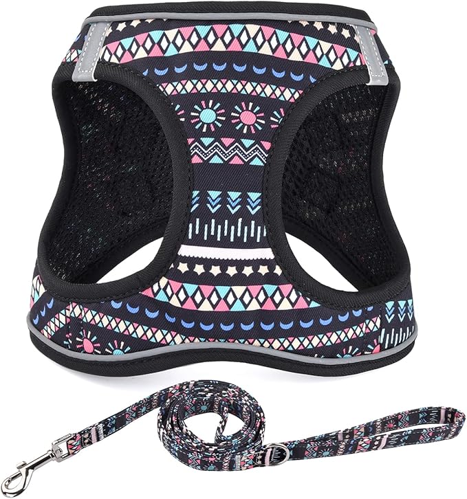 Step in Dog Harness and Leash Set, Reflective Adjustable No Pull Dog Harness for Small Medium Dogs Puppy and Cats, Soft Padded Mesh Vest Harnesses for Girl and Boy Pets(Black Bohemia,L)