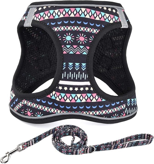 Step in Dog Harness and Leash Set, Reflective Adjustable No Pull Dog Harness for Extra-Small/Small Dogs Puppy and Cats, Soft Padded Mesh Vest Harnesses for Girl and Boy Pets(Black Bohemia,XXS)