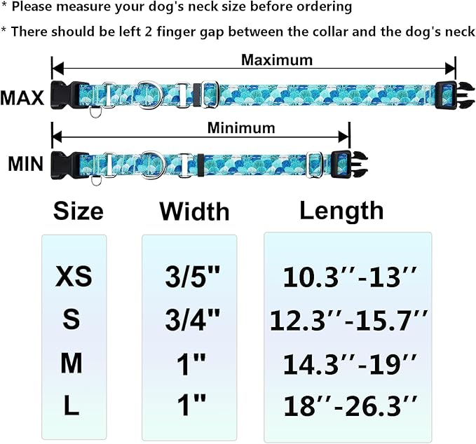 Reflective Martingale Collar with Buckle Adjustable Nylon Training Pet Collars for Medium Dogs (Turquoise Shell, M)