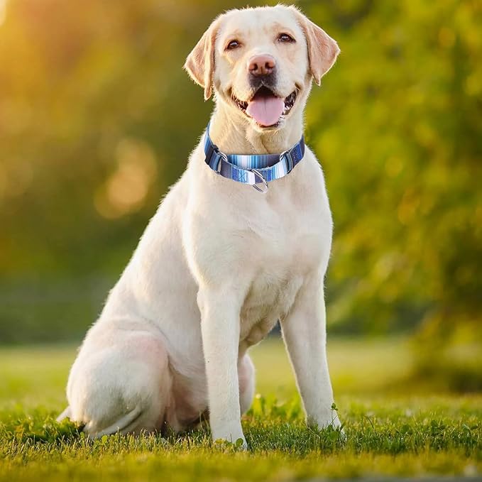 Dog Choker Collar, No-Slip Escape Proof Choke No Pull Cinch Soft Nylon Dog Training Martingale Collars Adjustable for Small Medium Large Breed Pet Dogs, Blue Gradient S