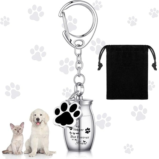 Tudomro Cremation Pet Dog Urns Keychain for Ashes with Storage Bag Stainless Steel Small Cat Paw Memorial Keepsake Jewelry