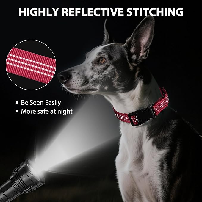 Martingale Dog Collar Quick Release Buckle No Pull Reflective Non-Slip for Medium Large Dogs Training (Wine Red, Medium)