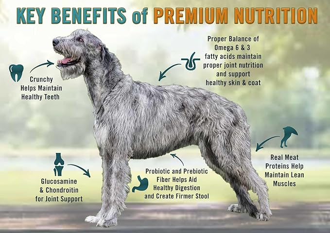 Chicken Soup for the Soul All Natural Premium Large Breed Adult Dry Dog Food, Real Meat First Ingredient, No By-Products, Supports Heart, Gut & Immune Health, Chicken, Turkey & Brown Rice, 13.5lb