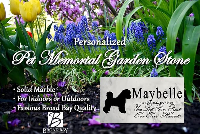 Broad Bay Bichon Frise Dog Memorial Stone – “You Left Paw Prints On Our Hearts” Personalized Marble Tribute – Custom Dog Loss Plaque – Indoor/Outdoor Grave Marker or Sympathy Gift