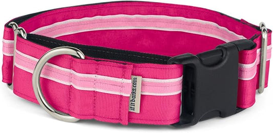 If It Barks - 1.5" Martingale Collar for Dogs - Quick Snap Release Buckle - Adjustable - Nylon - Strong and Comfy - Ideal for Training - Made in USA - Large, Bubble Gum