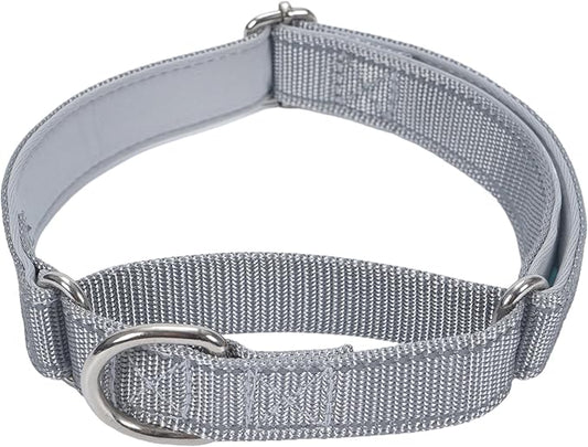 SGODA Martingale Dog Collar, Reflective Nylon Padded Dog Training Collars for Small Dogs, Grey S