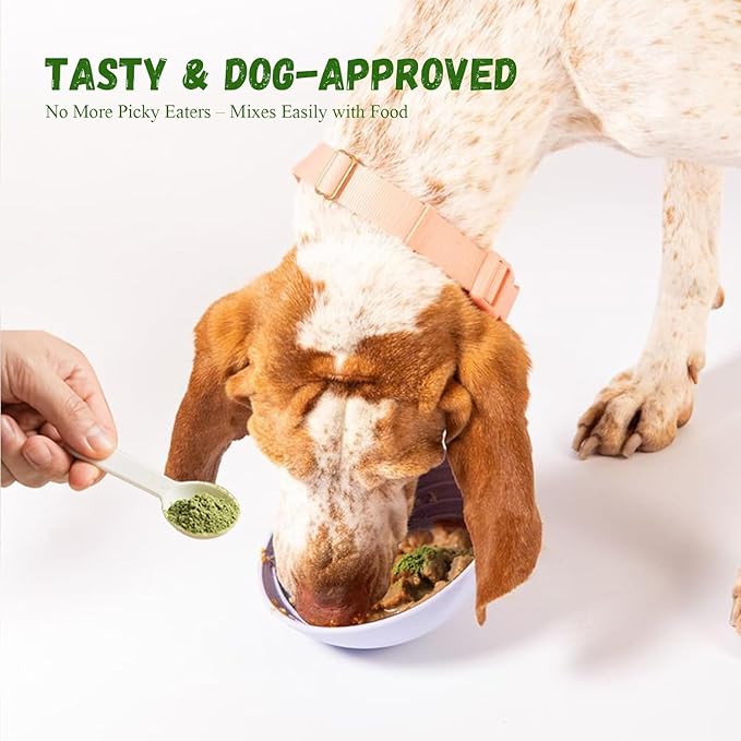 Dog Dental Powder, Dental Powder for Dogs Teeth Cleaning and Breath Fresh, Dog Teeth Cleaning Powder with Natural Plants Ingredients and Postbiotics, 400g