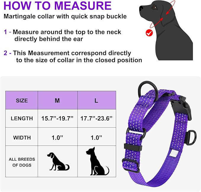 Martingale Dog Collars, Adjustable Reflective Nylon Dog Collar for Training Dogs, No Pull Dog Choker Collar for Medium Large Dogs (L, Purple)