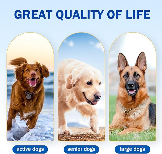 Dog Aspirin for Large Dogs, Anti-Inflammatory and Pain Relief Supplement, Joint Discomfort Relief, Pain Reliever for Dogs, Chicken Flavored Powder, 300mg per Serving, 2 OZ/Scoop Included