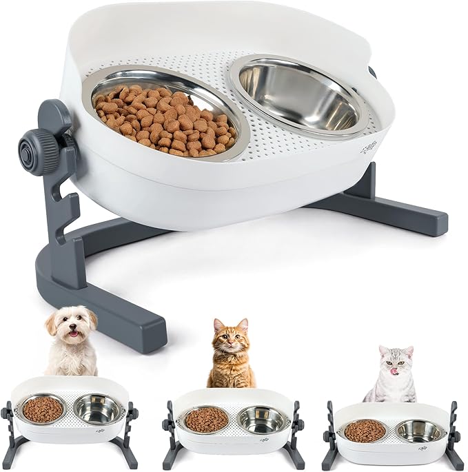 All for Paws Elevated Dog Bowls, Stainless Steel Food & Water Bowls, Height Adjustable Raised Cat Feeder Mess Proof Pet Feeding Bowls for Small to Large Size Dogs
