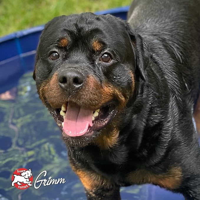 Fromm Chicken & Sweet Potato Pate Dog Food - Premium Wet Dog Food - Chicken Recipe - Case of 12 Cans