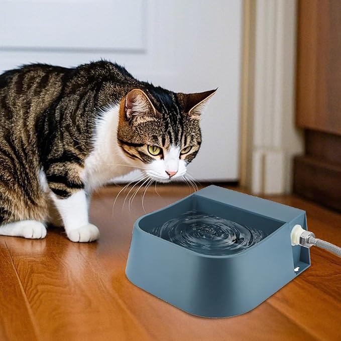 Enjoying Automatic Dog Water Dispenser 2L Outdoor/Indoor Pet Waterer Feeder Self Filling Water Float Valve Livestock Waterer for Dog Cat Chicken