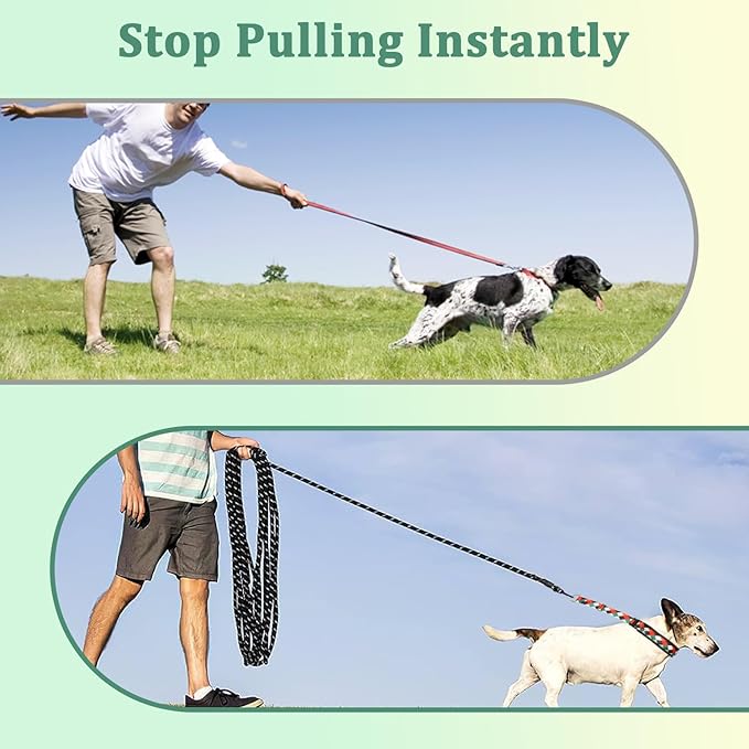 Mayerzon Martingale Dog Prong Collar for Pulling, Personalized Vintage Slip Pinch Collar with Buckle for Large Medium Small Dogs for Walking Training and Festivals(M, Pop Art)