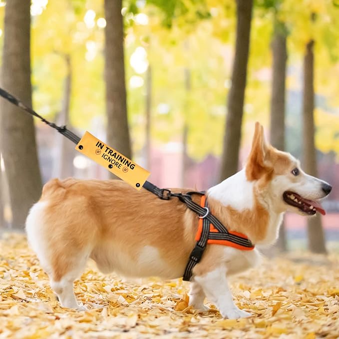 PWHAOO in Training Ignore Dog Leash Sleeve Dot Not Pet Working Merch Sleeve Service Dog Leash Wrap (in Training Ignore Sleeve)