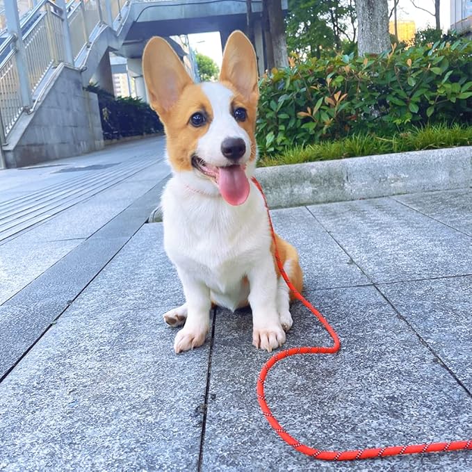 Long Slip Lead Dog Leash, 12/20/ 30/50 FT Reflective 1/3” Rope Training Leash Anti-Choking for Medium Dogs Small Puppy Pets (20ft, red)