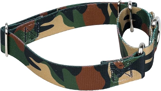Country Brook Petz - Woodland Camo Martingale Dog Collar - Camouflage Collection Featuring Rugged Designs (1 Inch, Extra Large)