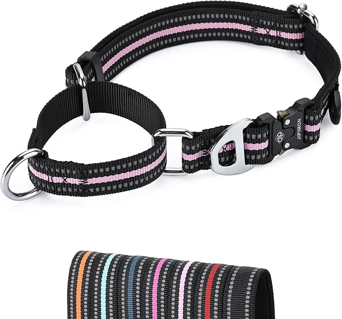 Martingale Dog Collar Reflective Nylon Soft Cushion with Alloy Buckle Dog Collar Martingale Small Medium and Large Dogs (Small, Pink)