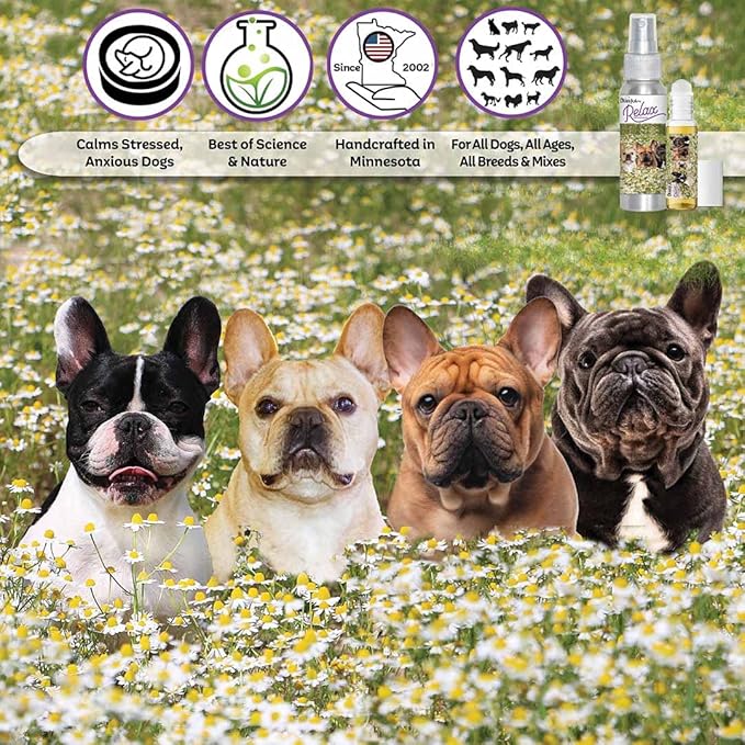 The Blissful Dog French Bulldog Relax Aromatherapy Spray for Your Dog's Anxiety