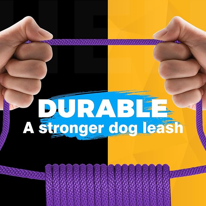 FASTFOX Dog Training Leash, 6ft x 1/2 Inch Slip Lead Loop for Small Medium Large Dogs, No Pull 3-in-1 (Purple)