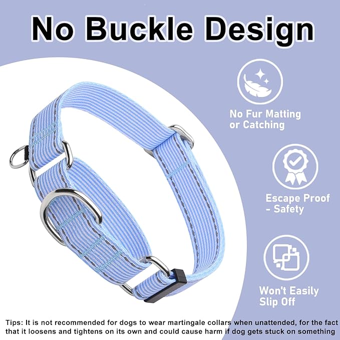 Reflective Martingale Collar for Dogs Nylon Training Collar with No Buckle, No Pull Escape Proof Dog Collar for Large Dogs（Blue Stripe，L）