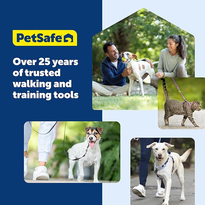 PetSafe Easy Walk Harness for Dogs - Pull-Free Walks - Patented Martingale Loop Design - Front Chest Leash Attachment - Comfort Straps - Breathable Harness Design - Large, Teal/Gray