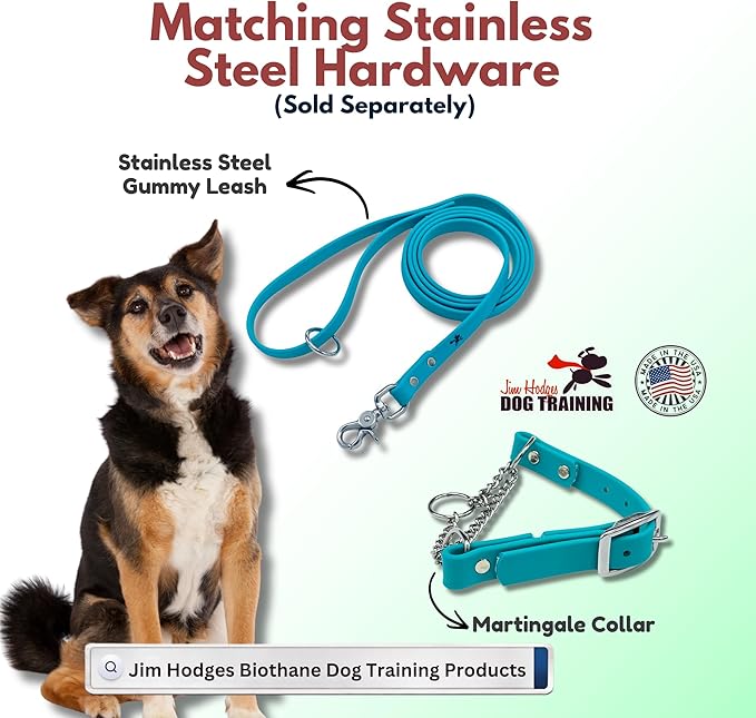 Martingale Collar for Dogs, Biothane, Stainless Steel Hardware, No Pull, Made in The USA, Professional Grade, Extra Large, Teal