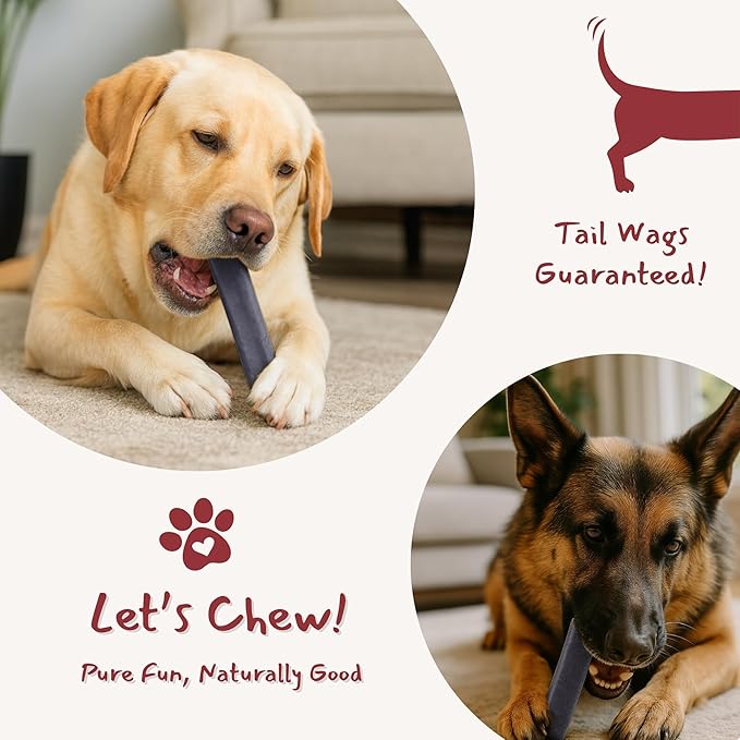Majestic Pet Himalayan All-Natural Cheese Dog Chews - Long Lasting Dental Chew for Dogs - Healthy Pet Treats with Beneficial Ingredients (Cognitive Support & Vitality, Large, 5 Pack)